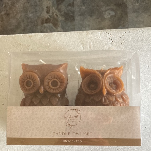 BNIB- 4.7"- Hand Carved- Unscented- 2 Pack- Brown Owl Figural Candles Decor Set - Picture 12 of 17